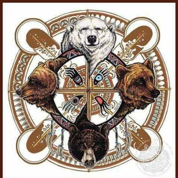 Meet your Posher, Paul - Picture 1 of 1